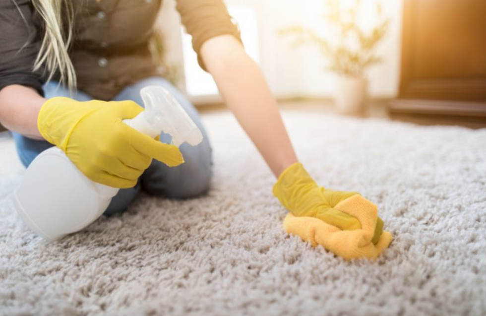 Jak wyczyścić dywan domowymi sposobami? Plamy z kawy, krwi lub guma do żucia na dywanie - szczotka do prania dywanów